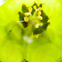 安全支付平台的网站攻击测试